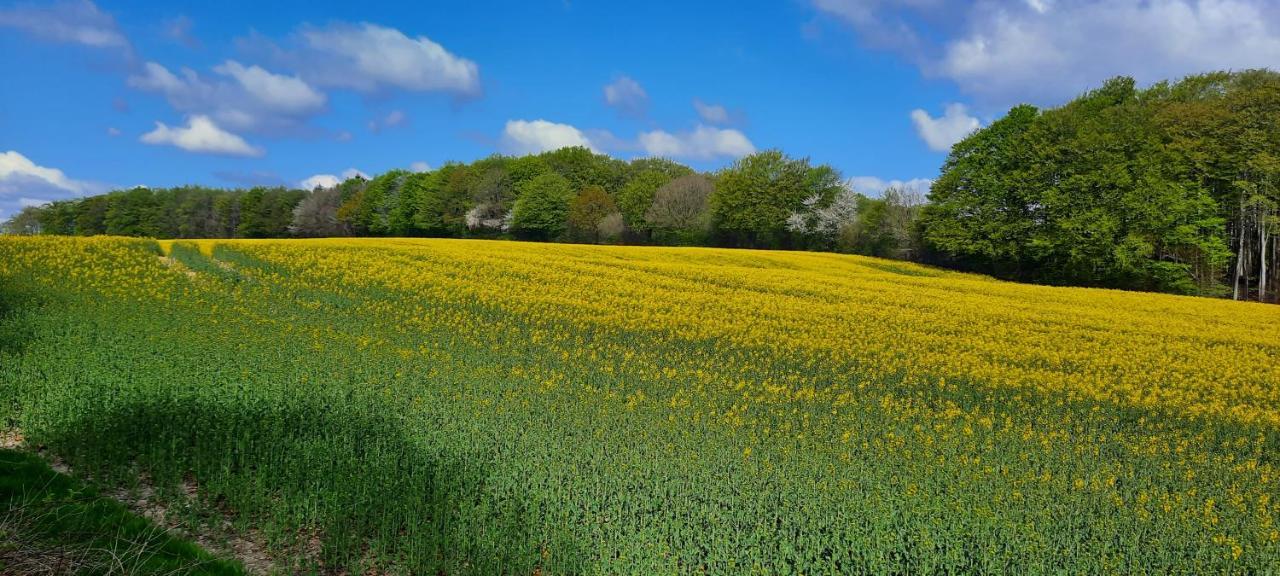 Ferienwohnung Wikingerland Langballig Bagian luar foto