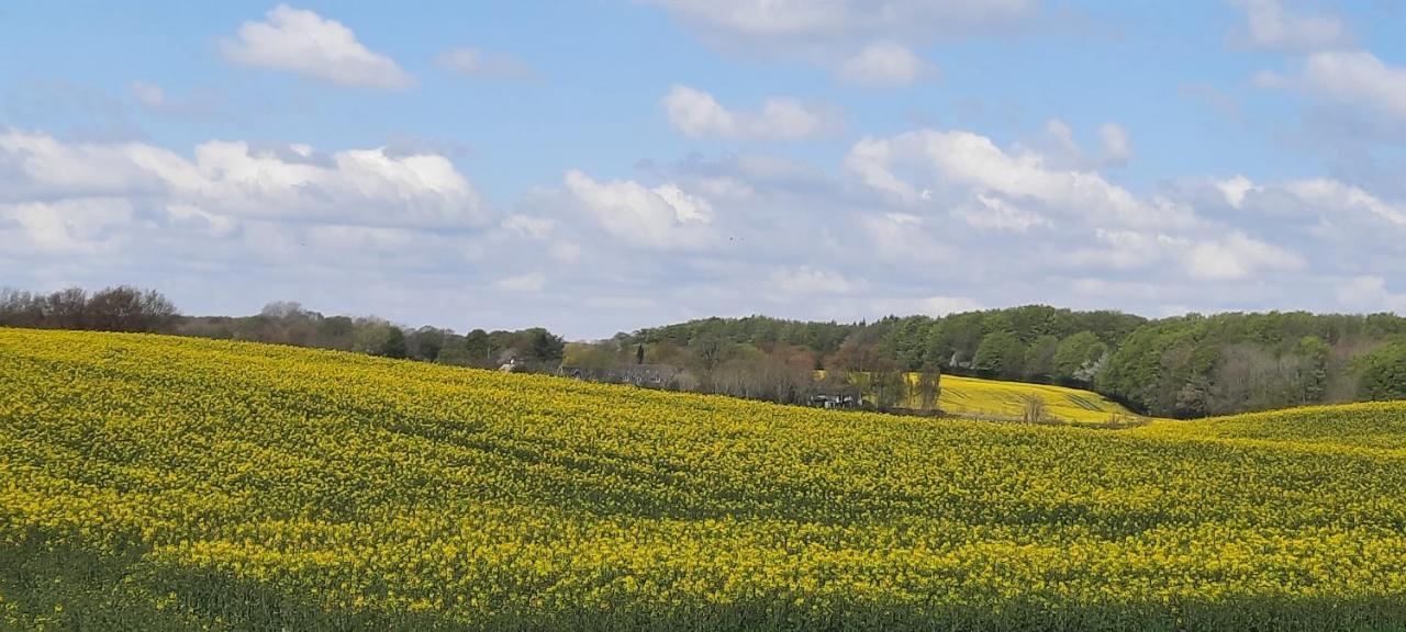 Ferienwohnung Wikingerland Langballig Bagian luar foto